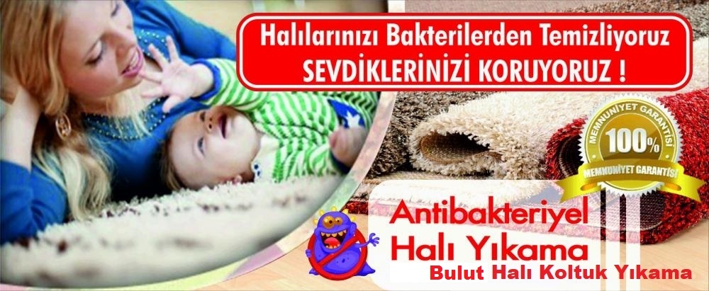 halÄ± yÄ±kama firmalarÄ±